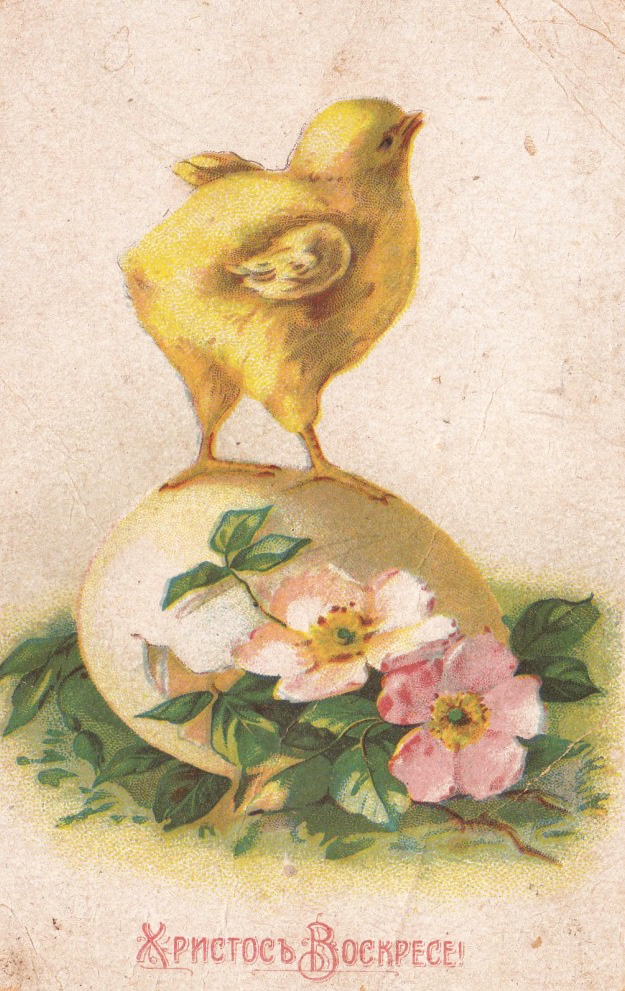 ОФ494.jpg
