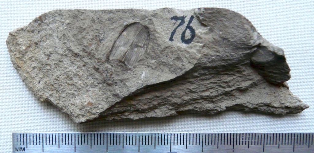 оф 14788-76.JPG