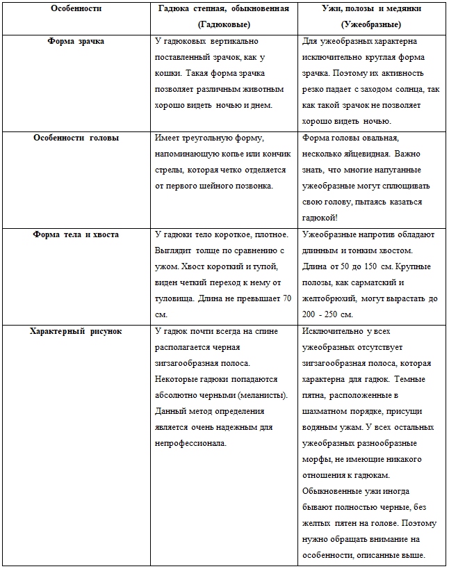 таблица.jpg