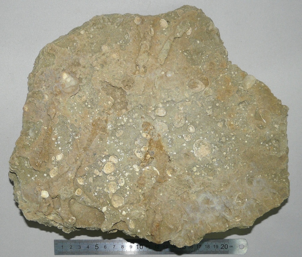 Фото 9.JPG