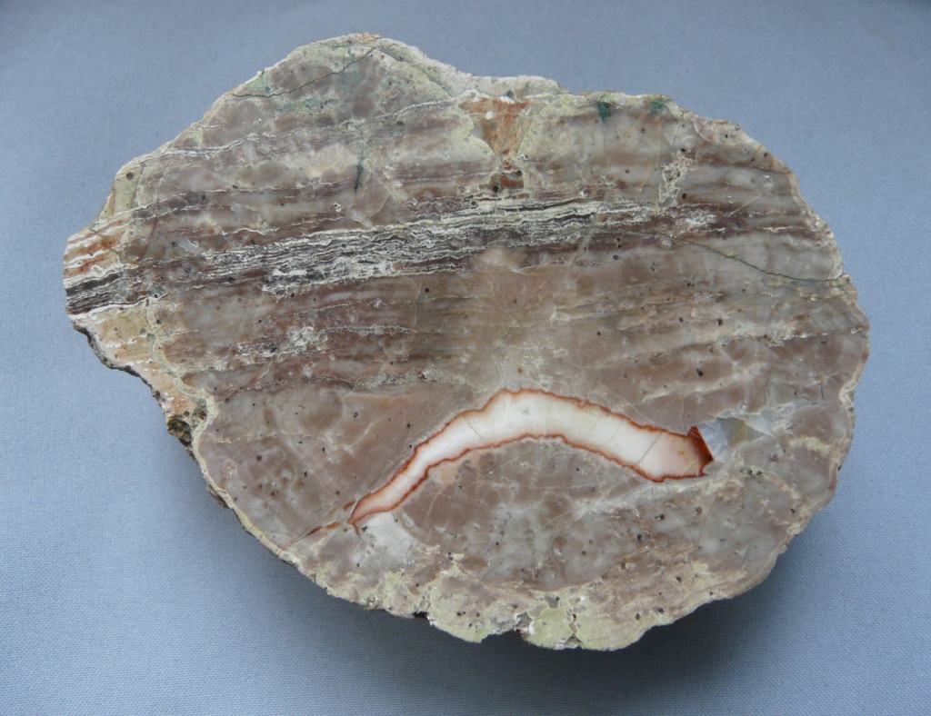 image11.jpg
