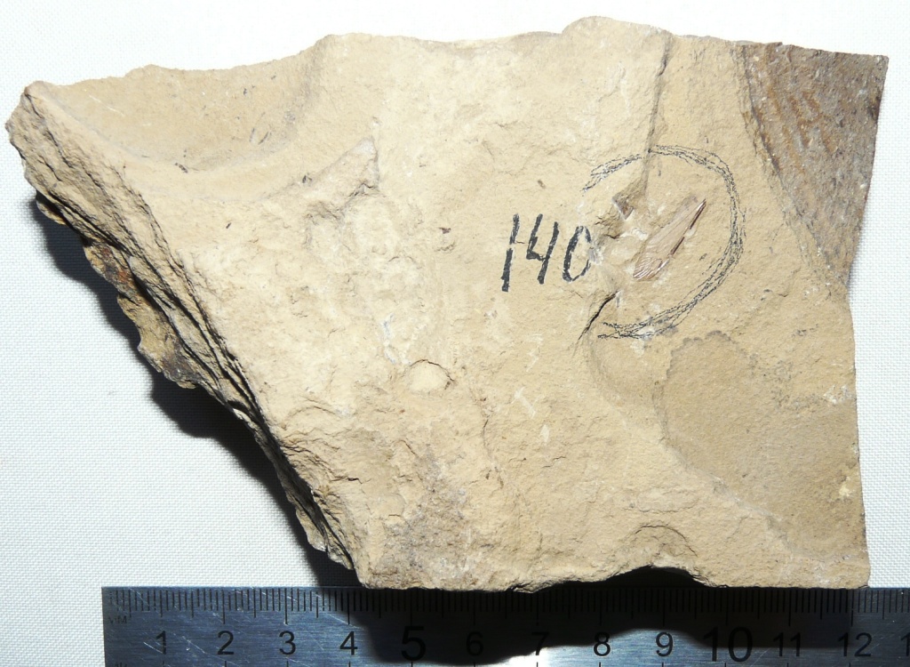 оф 14788-140 все.JPG