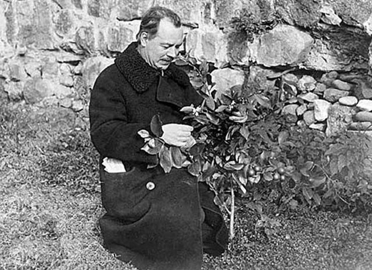 вавилов н.и. Источник mdpi.com.jpg