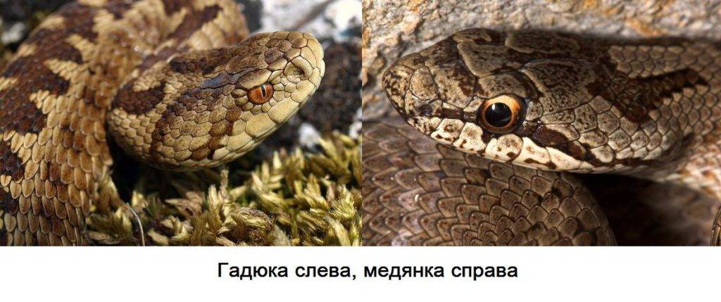TV1I1Zk3M_A.jpg
