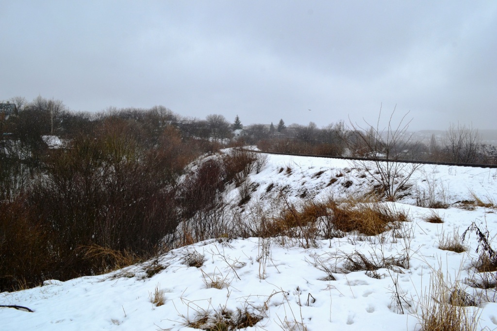 1. Чертов Яр железнодорожная насыпь. Фото В. Ольховского 2021 г.JPG