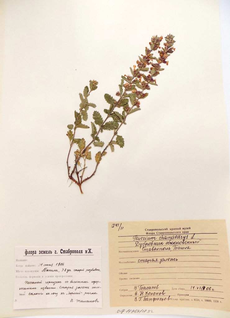 из коллекции таланова.JPG