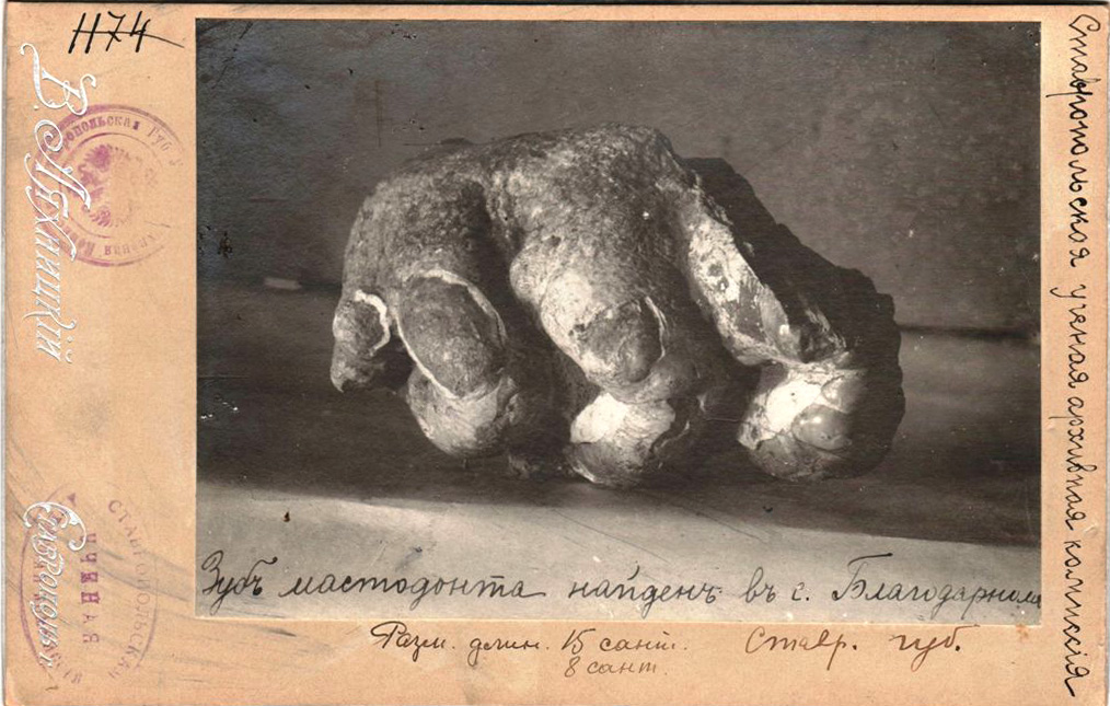 7б.jpg