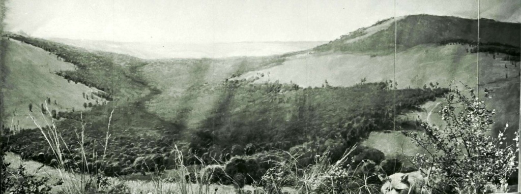4 Диорама Лесостепь оф 18926-31.jpg