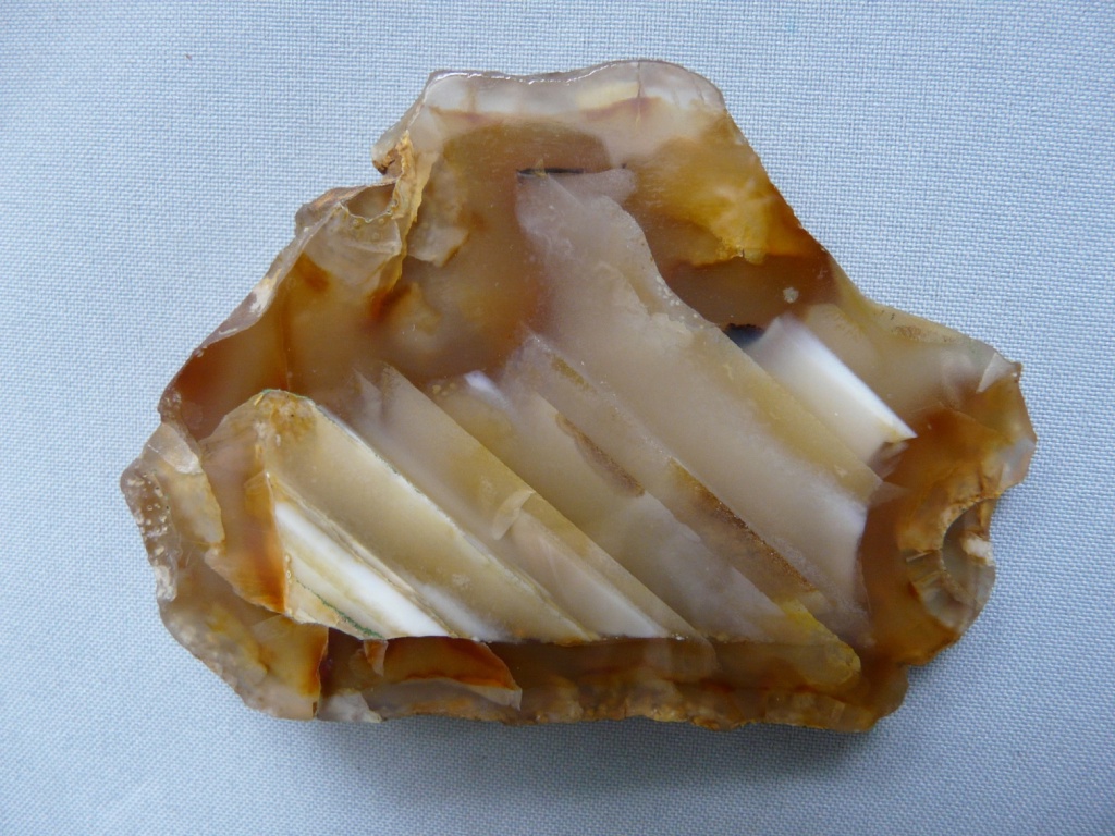 image1.jpg