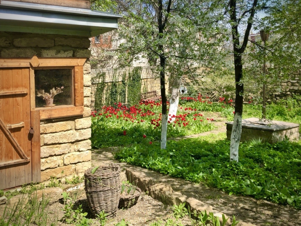 Мастер-класс «Птицы в нашем саду»