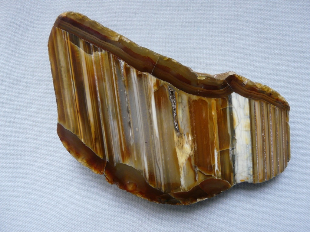 image2.jpg