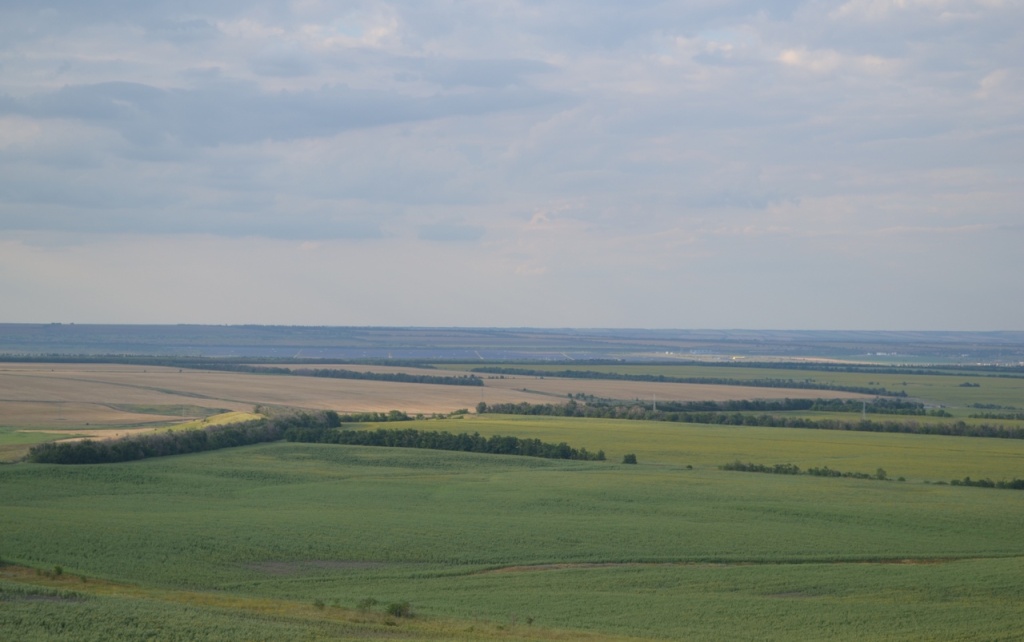 фото 3.JPG