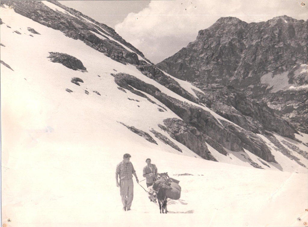 06.jpg