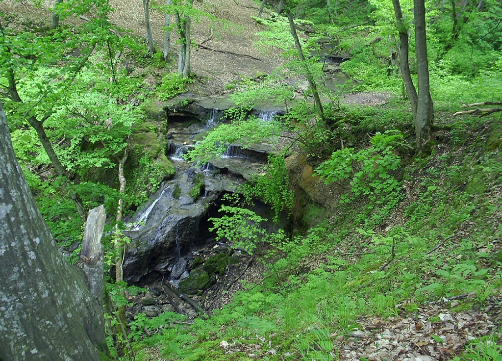 06.JPG