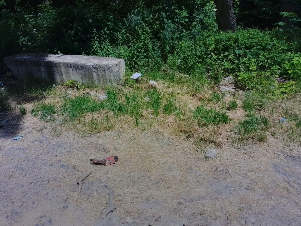 IMG_20260610_155544.jpg