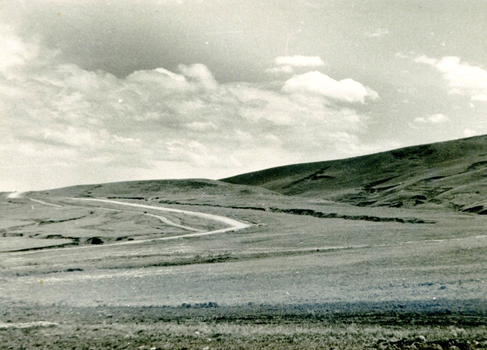 08 Местообитание степного толстуна в окрестностях Невинномысска. 1950-е гг. Из фондов Ставропольского музея-заповедника.jpg