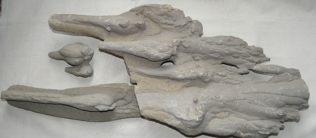 (9) Известково-песчанистая конкреция. Село Томузловка.JPG