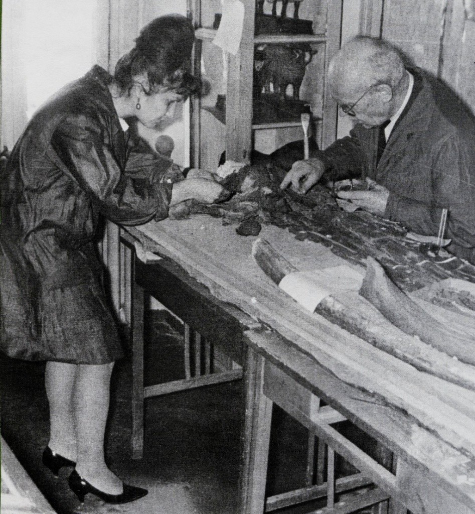 А.К. Швырёва и С.К. Даль обрабатывают ископаемые остатки кита цетотерия.jpg