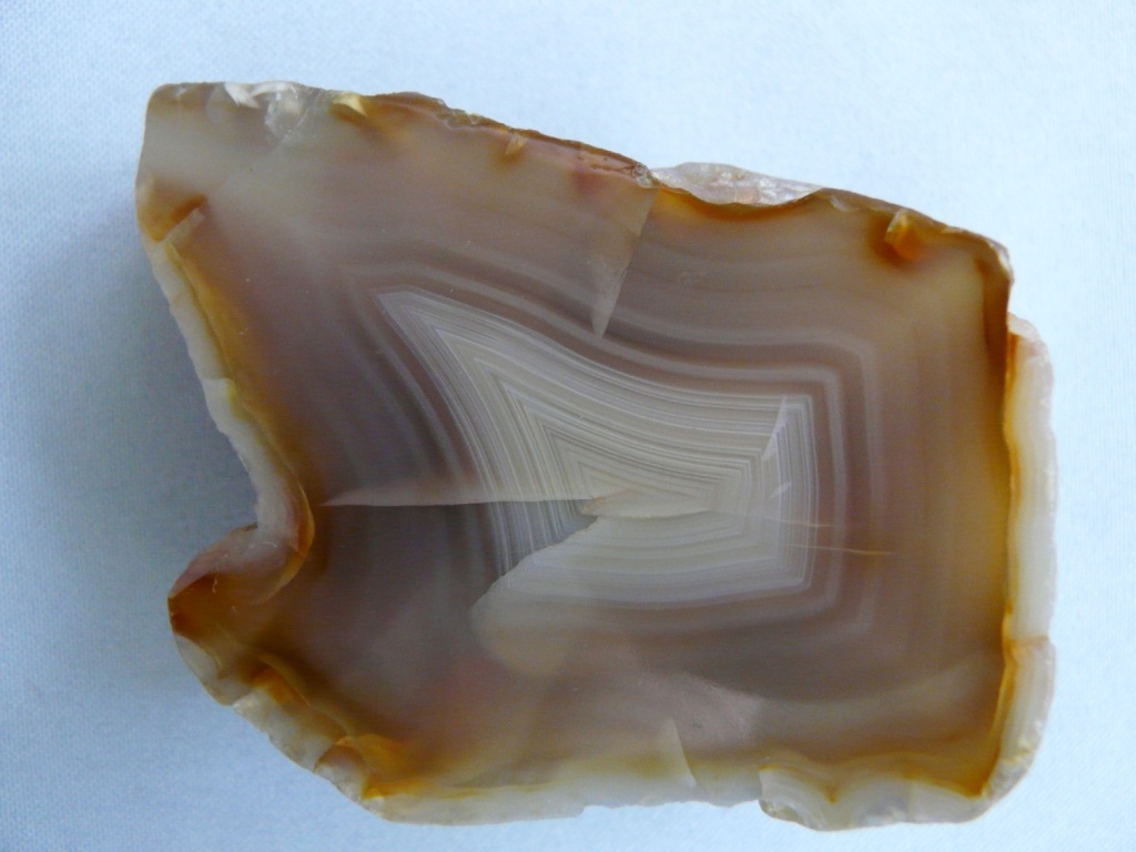 image6.jpg