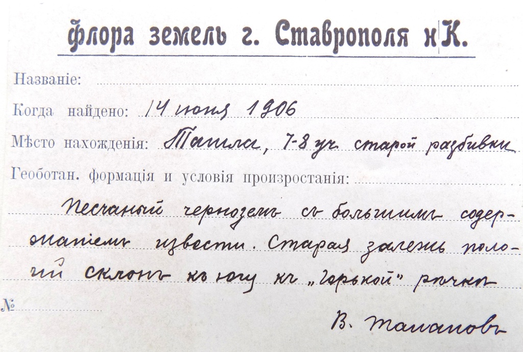 этикетка из гербария Таланова.jpg