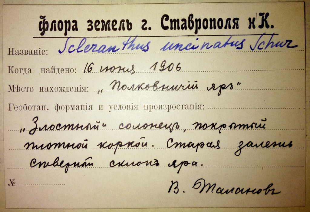 гербарий Таланова.jpg