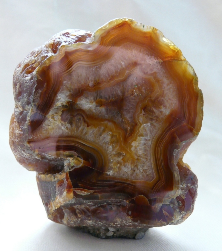 image5.jpg